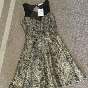 Soprano Black/Gold Metallic Dress NWT